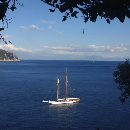 Villa Star Fish House *