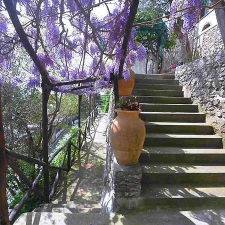 Villa Star Fish House *