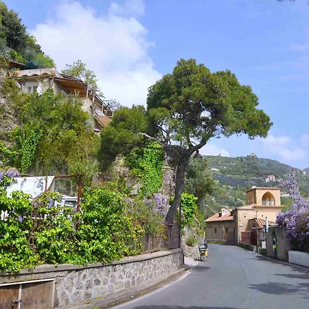 Star Fish House Villa *