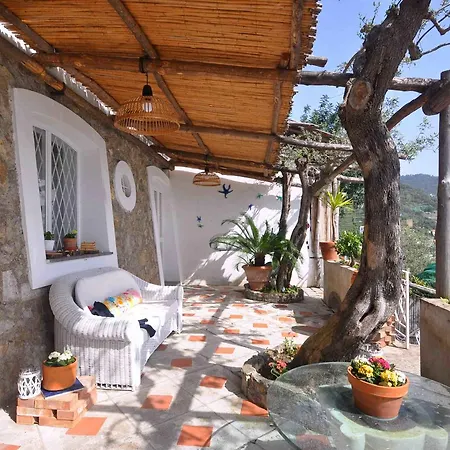 Villa Star Fish House *