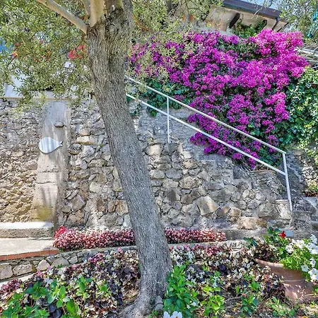 ヴィラ Star Fish House