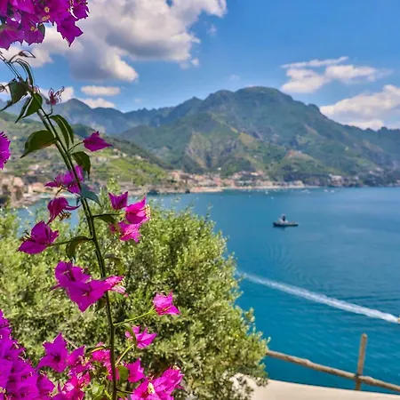 ヴィラ Star Fish House アマルフィ